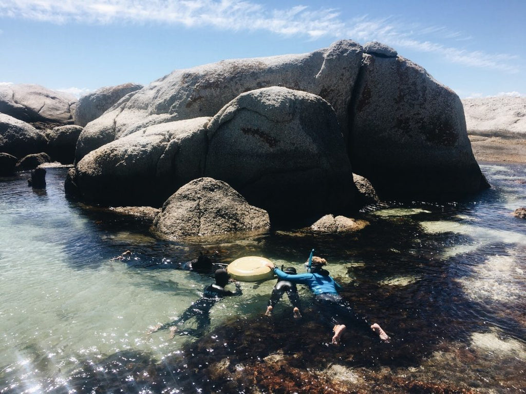 I AM WATER: Teaching kids to fall in love with the ocean